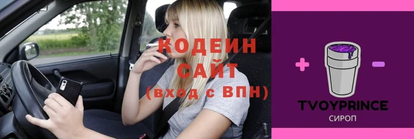 стаф Абаза
