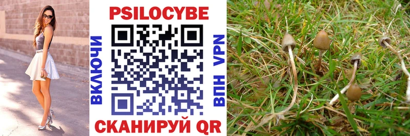 мега рабочий сайт  Суздаль  Псилоцибиновые грибы Psilocybe  купить наркотики сайты 